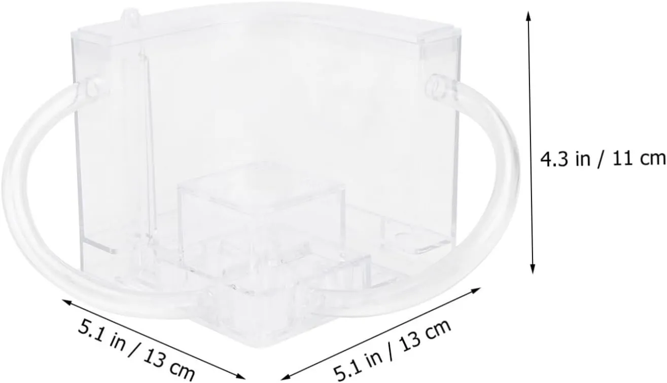 1 Set Ant Nest for Pets Transparent Educational Plaything for Safe and Ant Design for Science Exploration