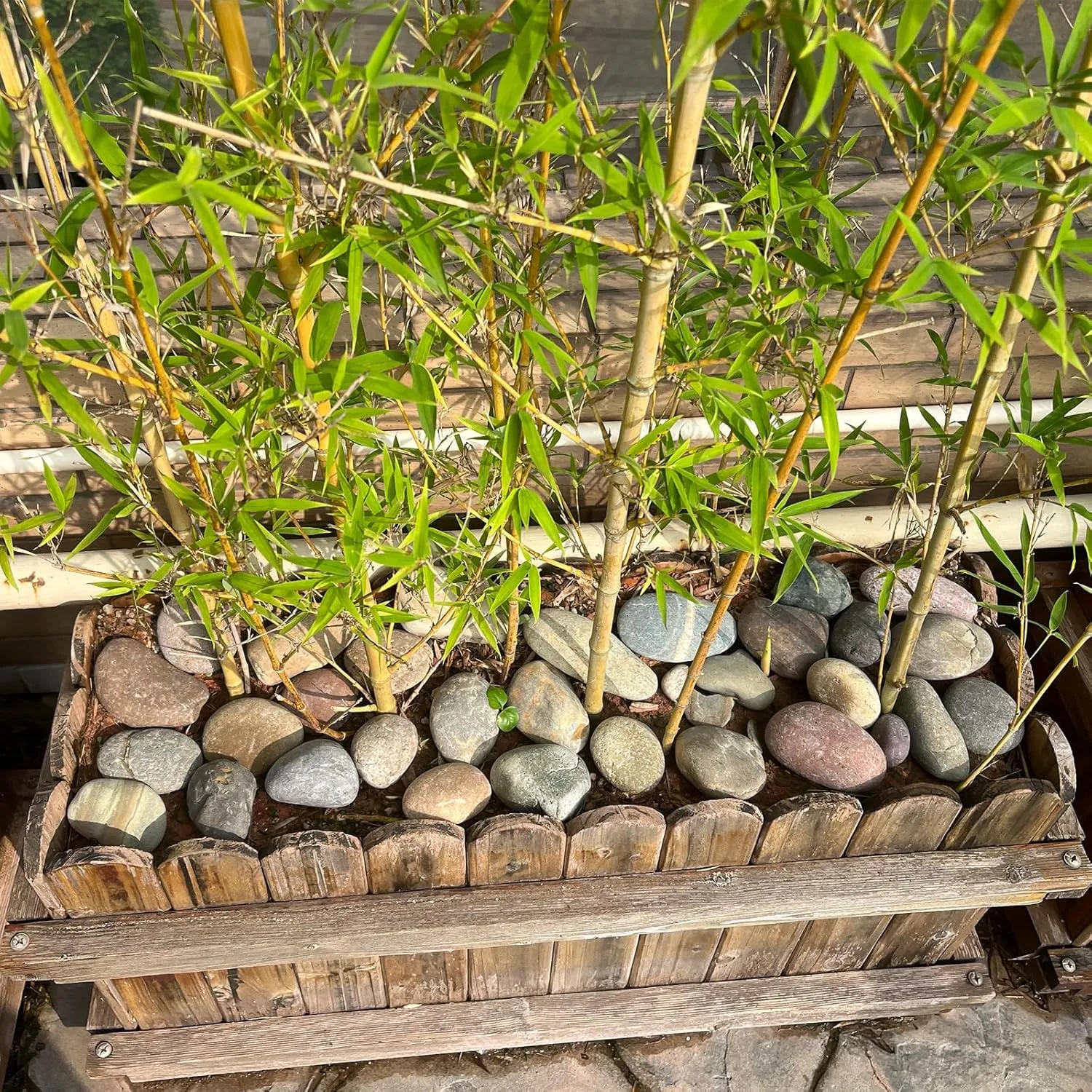 20 lbs Natural River Rocks Mexican Beach Pebbles, 2-3 Inch Decorative River Rocks for Landscaping Garden Paving Plant Rocks Crafting Walkways and Outdoor Decorative Stone