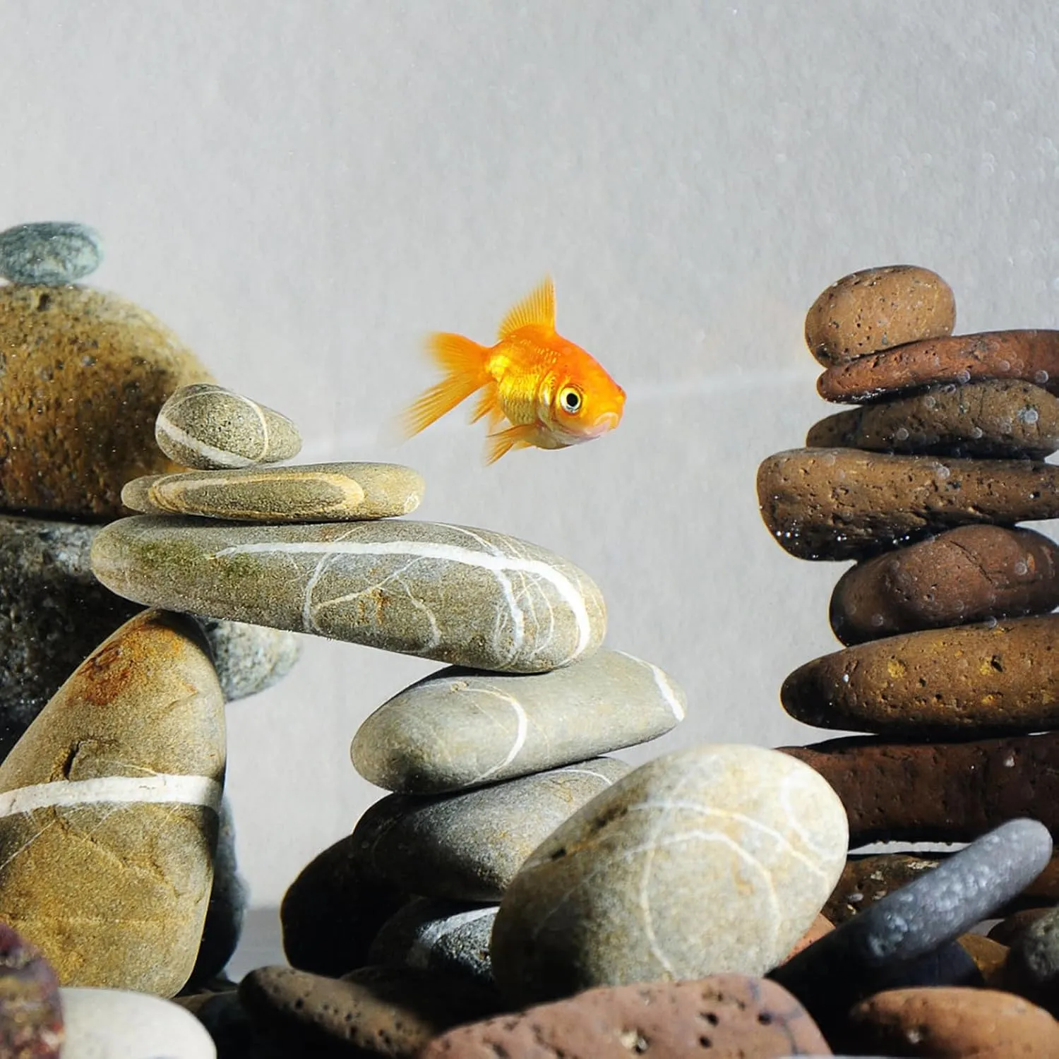 20 lbs Natural River Rocks Mexican Beach Pebbles, 2-3 Inch Decorative River Rocks for Landscaping Garden Paving Plant Rocks Crafting Walkways and Outdoor Decorative Stone