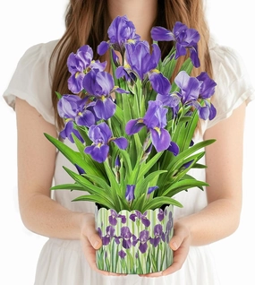 3D Greeting Cards Pop Up Cards 16" Iris Paper Flower Bouquet Gifts for Women Mom Wife Birthday, Anniversary, Get Well Cards with Note Card & Envelope, Romantic Iris