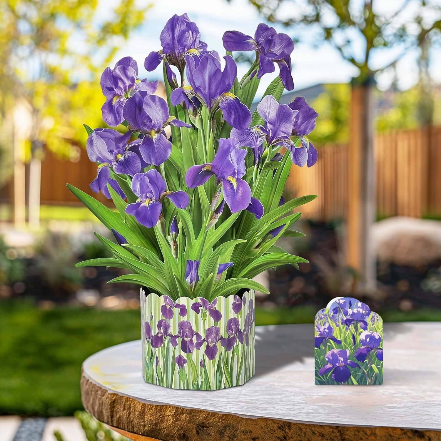 3D Greeting Cards Pop Up Cards 16" Iris Paper Flower Bouquet Gifts for Women Mom Wife Birthday, Anniversary, Get Well Cards with Note Card & Envelope, Romantic Iris