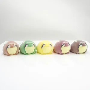 Adorable Flocking Common rain Frog,Round Breviceps adspersus,Fatty Bushveld Rain Frog,Soft blaasoppie Squeeze Toys,Squeak.Capsule Toys (All 5 Types)