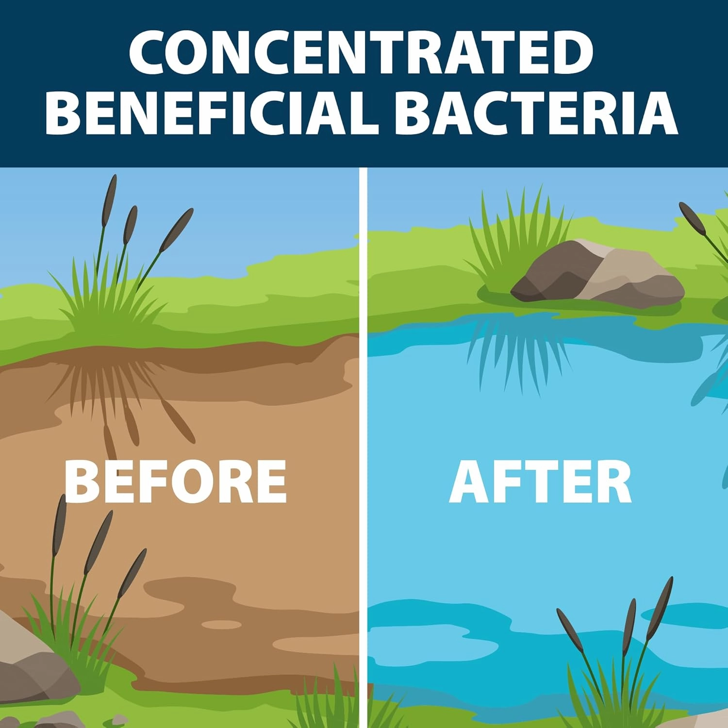 Airmax MuckAway Natural Beneficial Bacteria for Outdoor Ponds & Lakes, Muck, Sludge & Noxious Odor Solution, Easy to use Enzyme Tablets, Cleaner Beach & Shoreline, Fish, Pet & Wildlife Safe, 48 Scoops