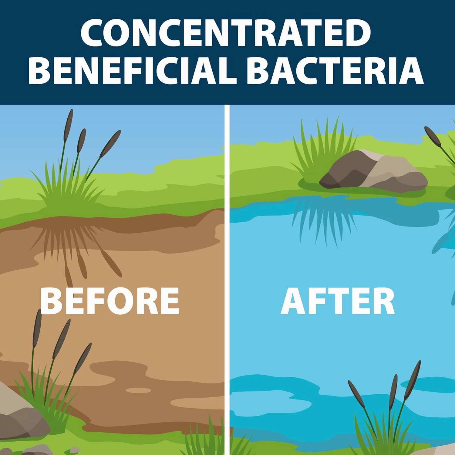 Airmax MuckAway Natural Beneficial Bacteria for Outdoor Ponds & Lakes, Muck, Sludge & Noxious Odor Solution, Easy to use Enzyme Tablets, Cleaner Beach & Shoreline, Fish, Pet & Wildlife Safe, 8 Scoops