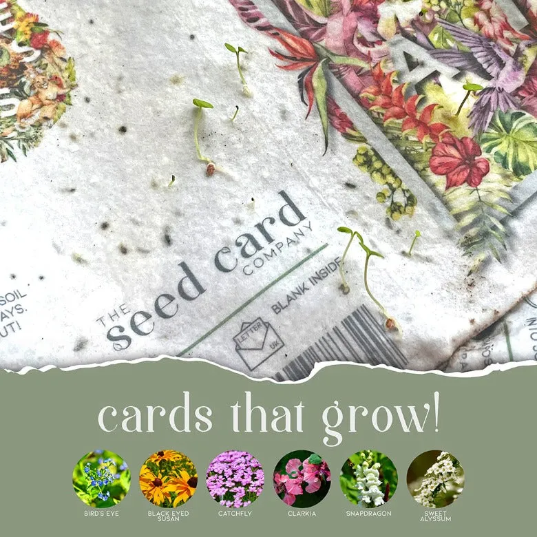 'Baby Shark' Plantable Card