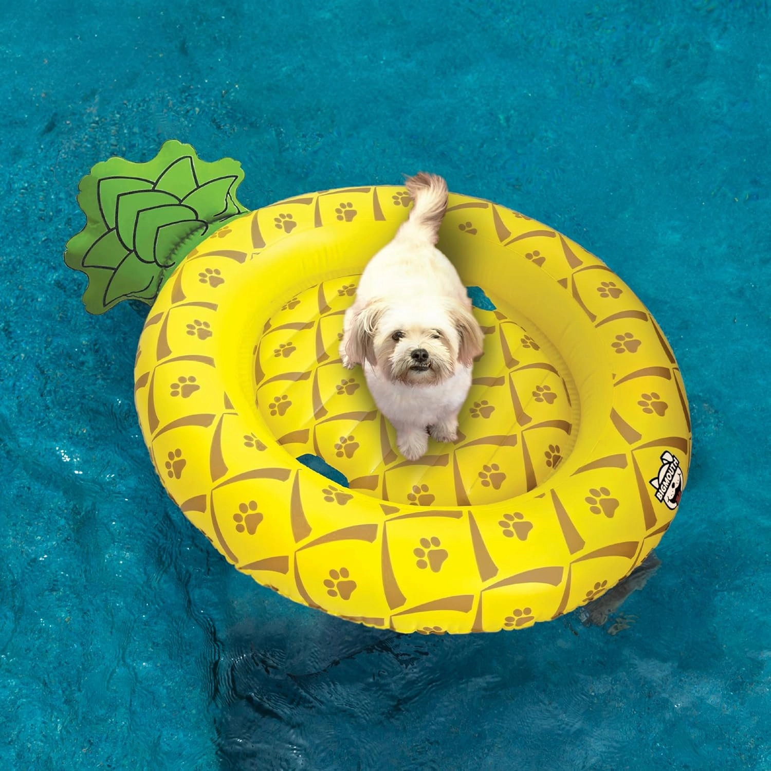 BigMouth Inc. Pool Float for Dogs, Durable Inflatable Vinyl Raft for Small to Medium Sized Dogs