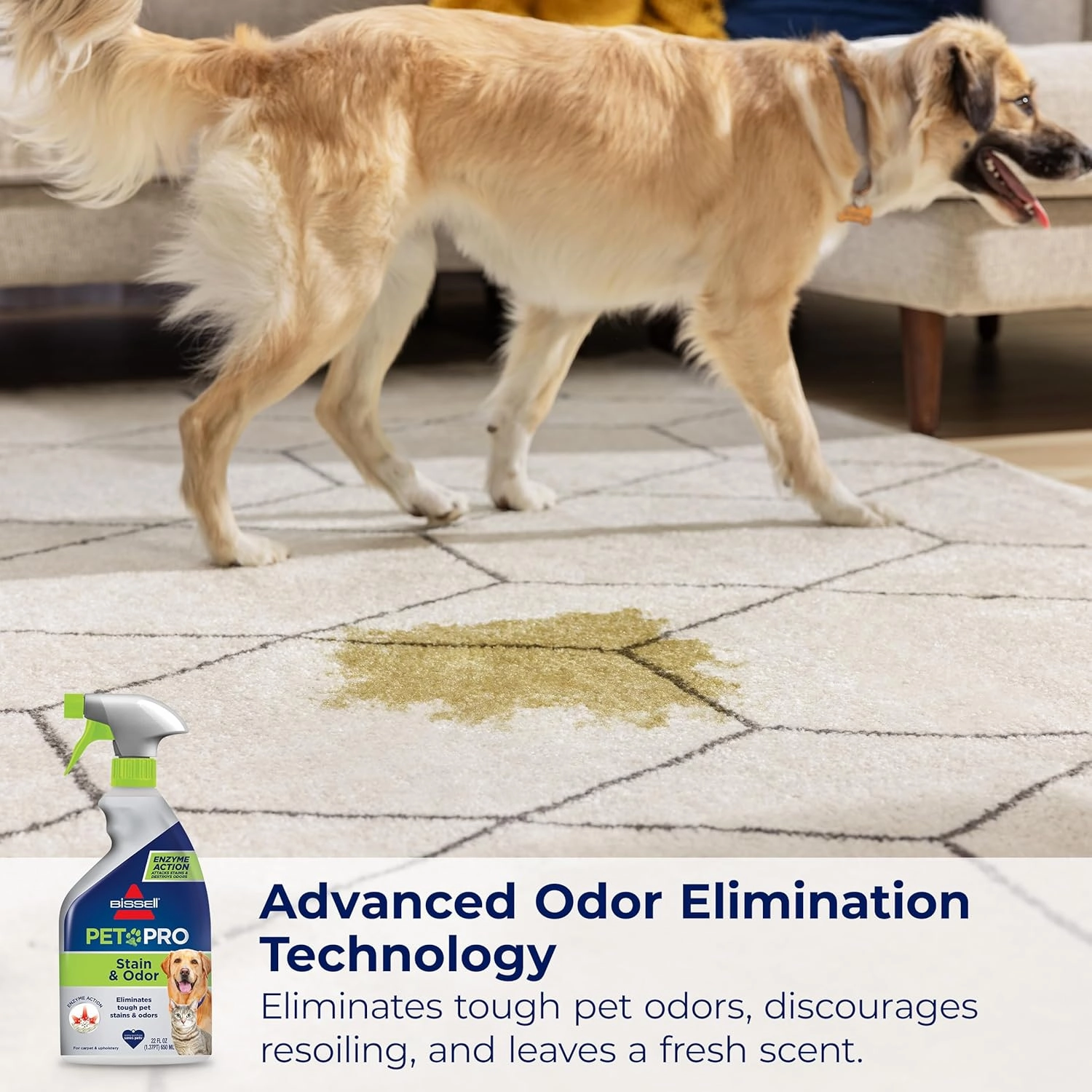 BISSELL Pet Pro Stain and Odor Eliminator with Enzyme Action, 2 pack, 77X7F