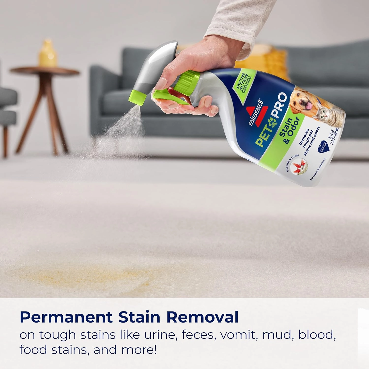 BISSELL Pet Pro Stain and Odor Eliminator with Enzyme Action, 2 pack, 77X7F