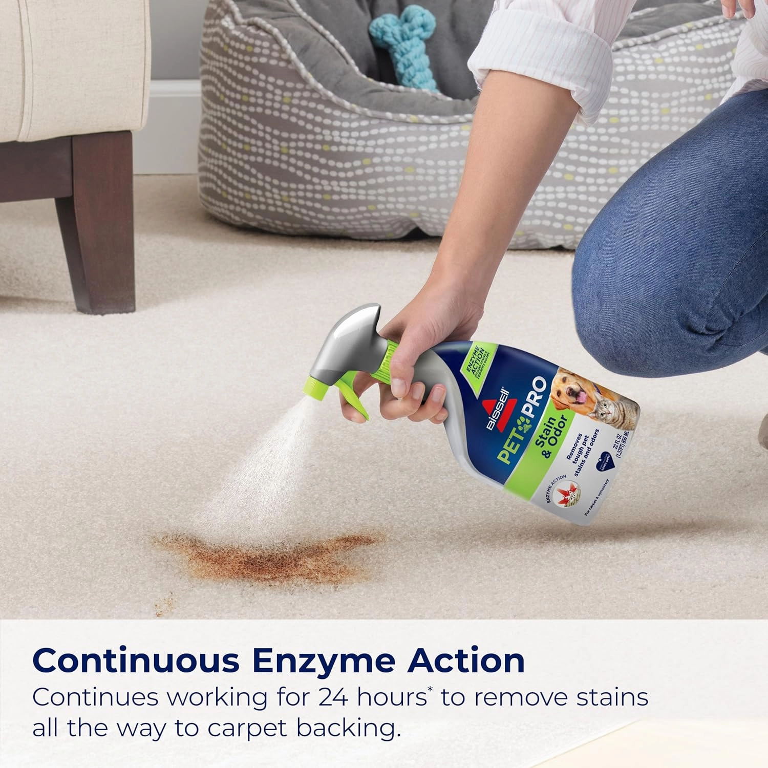 BISSELL Pet Pro Stain and Odor Eliminator with Enzyme Action, 2 pack, 77X7F