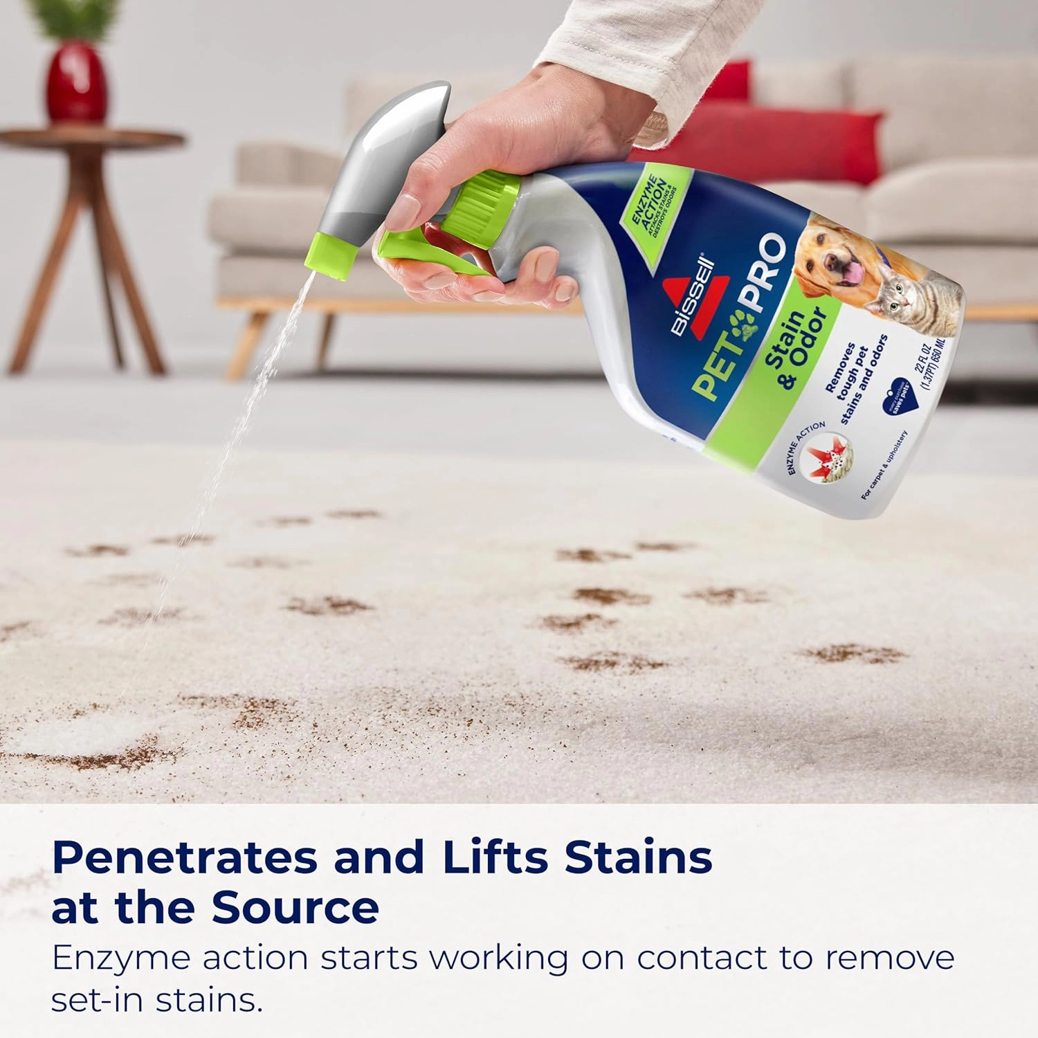BISSELL Pet Pro Stain and Odor Eliminator with Enzyme Action, 2 pack, 77X7F