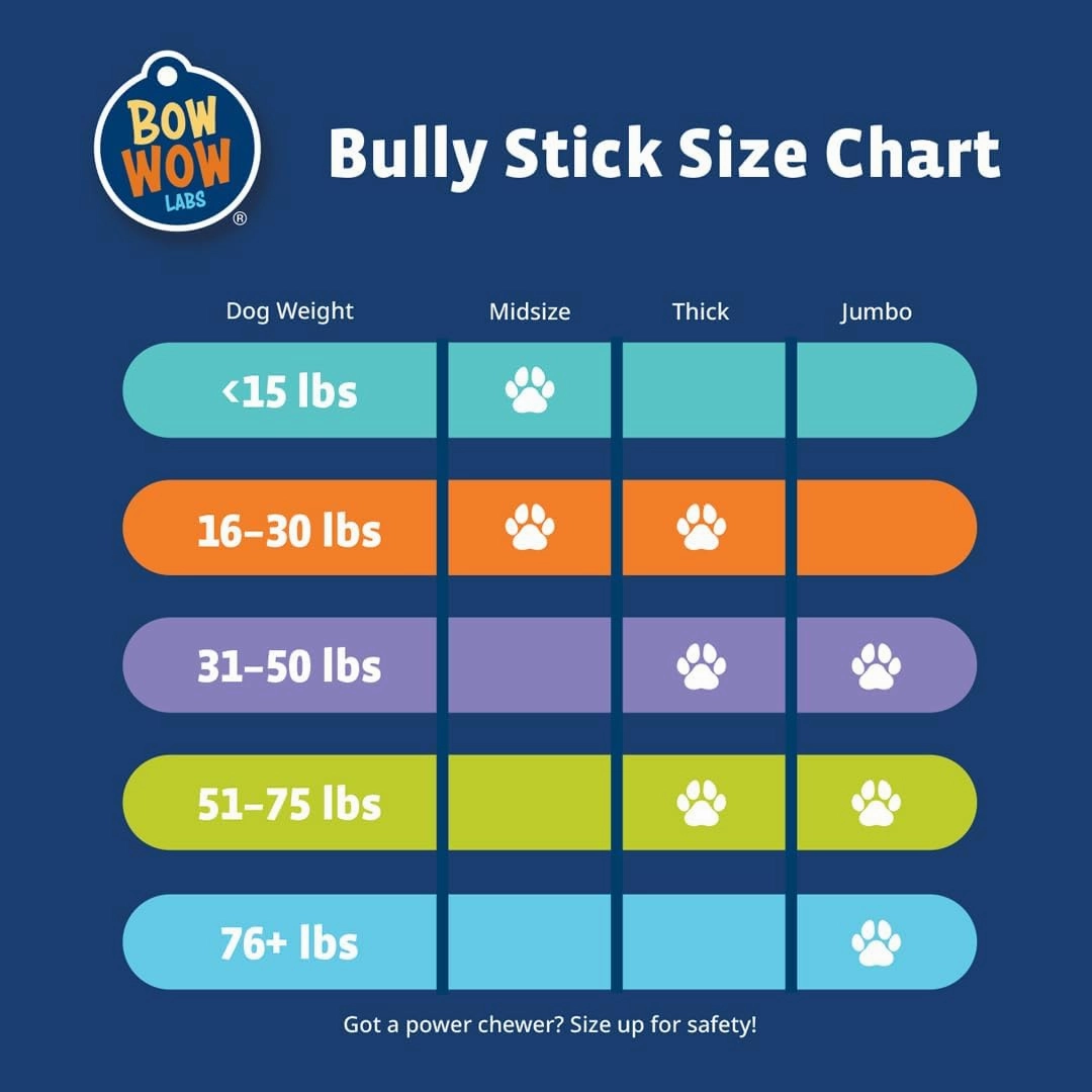 Bow Wow Labs 6" Bully Sticks for Dogs | 100% All Natural, Grass-Fed, Free-Range Beef | Low Odor | Long Lasting Chews | SafeFit | 10 Pack (Thick)