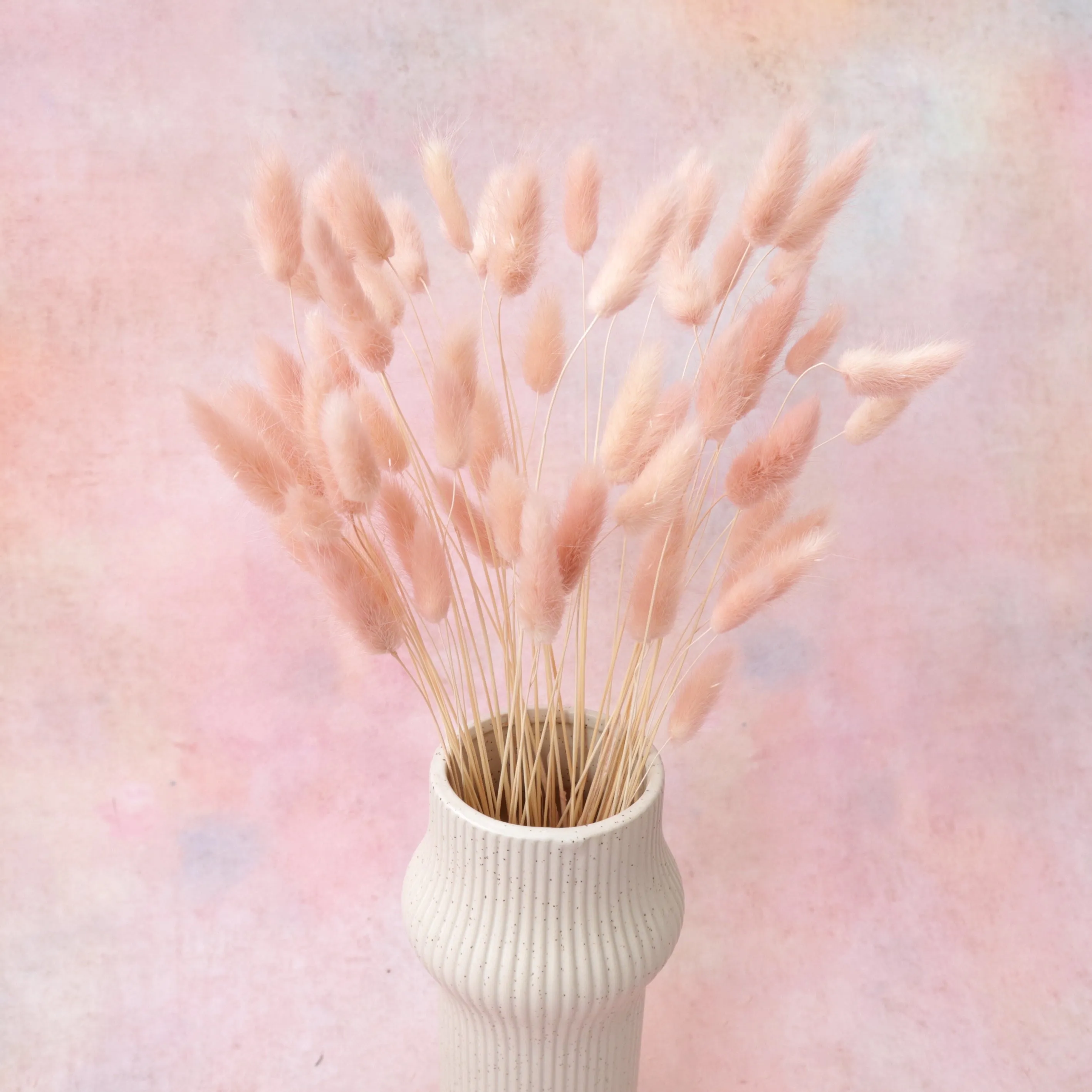 Bunny Tails Dusty Pink