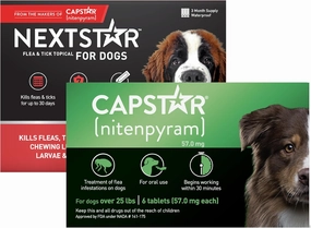 CAPSTAR Flea Treatment for Dogs Over 25 lbs (6 Doses)   NEXTSTAR Flea and Tick Prevention for X-Large Dogs 89-132 lbs (3 Doses) Bundle