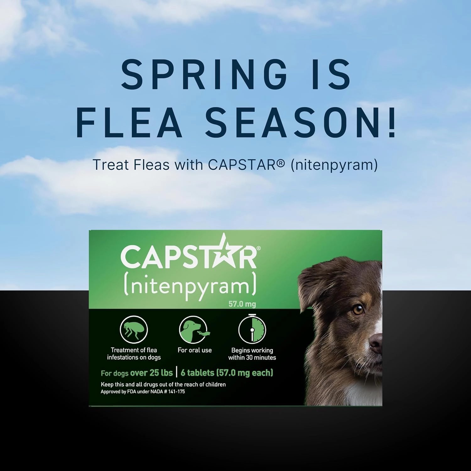 CAPSTAR Oral Flea Treatment for Dogs, Fast Acting Tablets Start Killing Fleas in 30 Minutes, Medium & Large Dogs (Over 25 lbs), 6 Doses