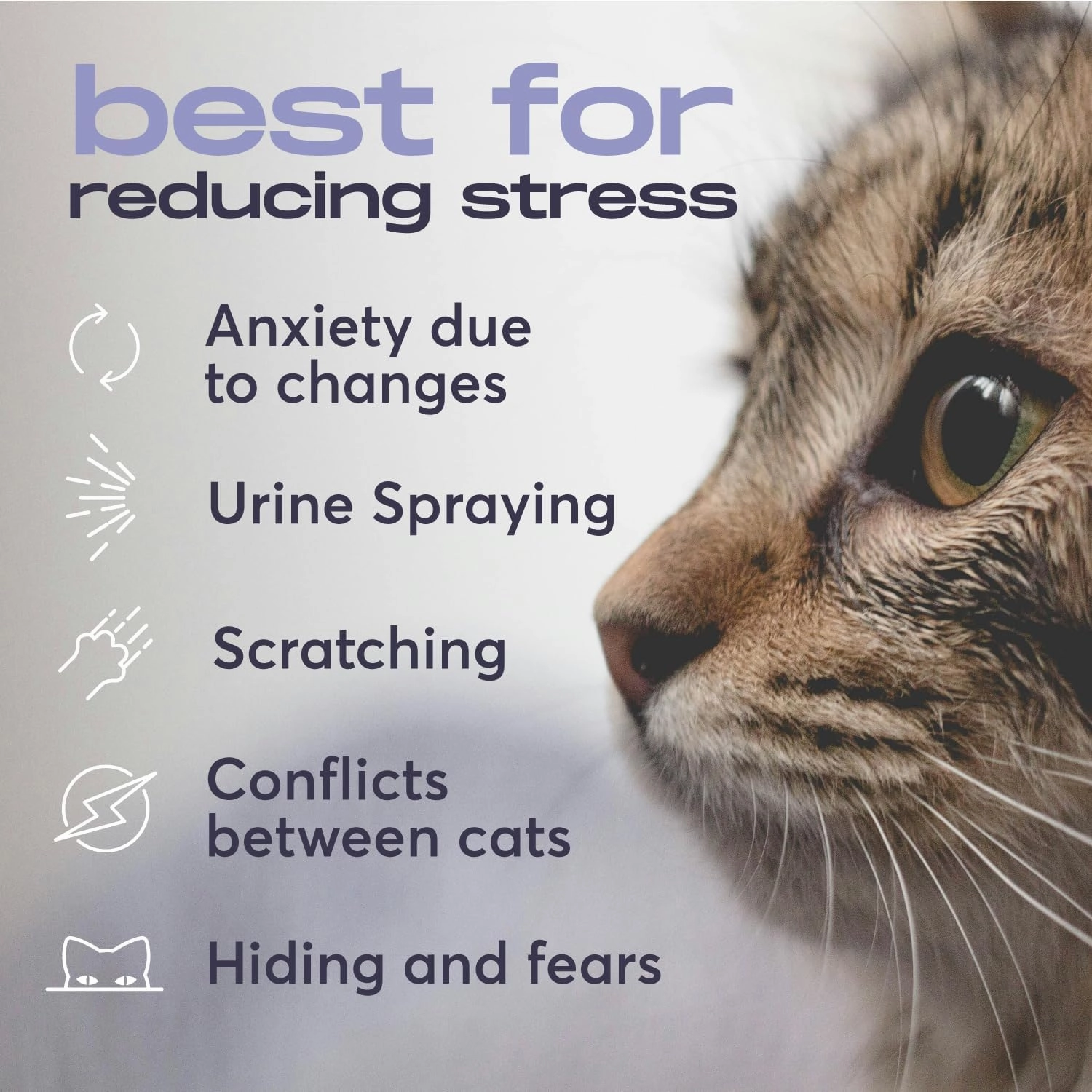 Cat Calming Diffuser Refills – Long-Lasting 30-Day Formula with Pheromones for Stress Relief, Relaxation, and Anxiety Reduction in Cats Easy to Use – (2 Diffusers   2 Refills)