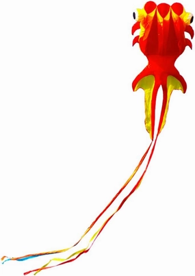 Children's Toy Goldfish Kite Large Adult Easy to Fly Kites Small Fish Kites for Beaches Outdoor Games and Outdoor Activities Great Outdoor Activity