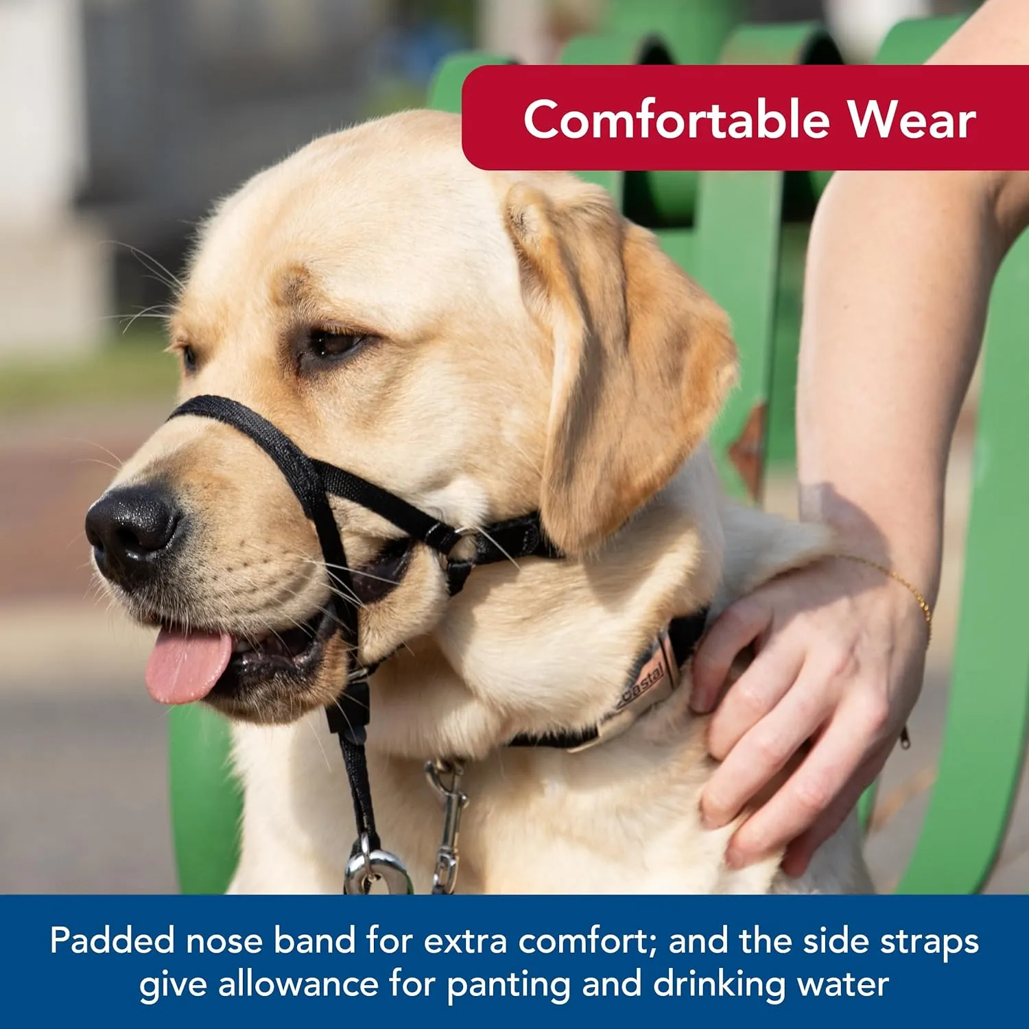 Coastal Pet Walk 'n Train Dog Head Halter - Head Colllar Dog Leader - No-Pull Pet Harness - Quick-Drying Polyester - Black - XLarge