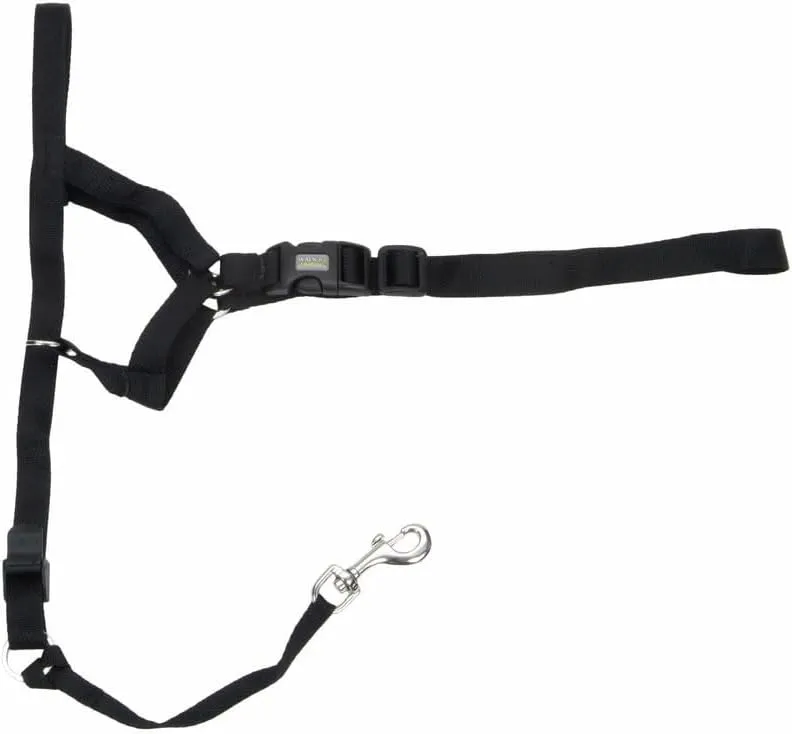 Coastal Pet Walk 'n Train Dog Head Halter - Head Colllar Dog Leader - No-Pull Pet Harness - Quick-Drying Polyester - Black - XLarge