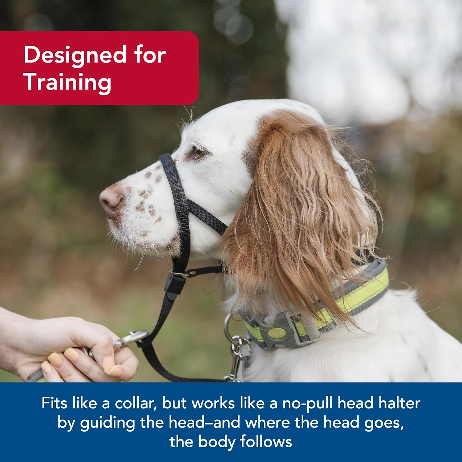 Coastal Pet Walk 'n Train Dog Head Halter - Head Colllar Dog Leader - No-Pull Pet Harness - Quick-Drying Polyester - Black - XLarge