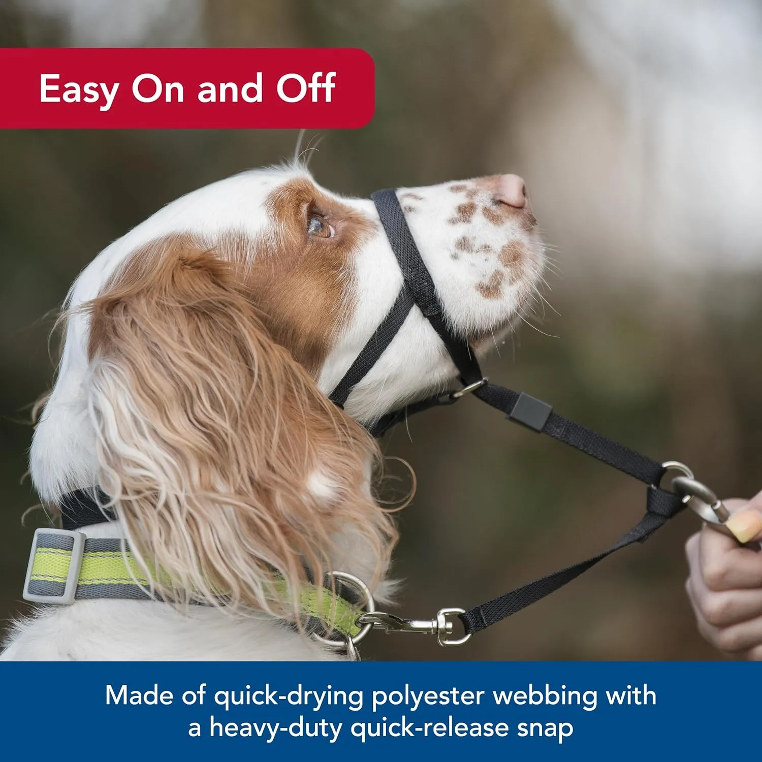 Coastal Pet Walk 'n Train Dog Head Halter - Head Colllar Dog Leader - No-Pull Pet Harness - Quick-Drying Polyester - Black - XLarge