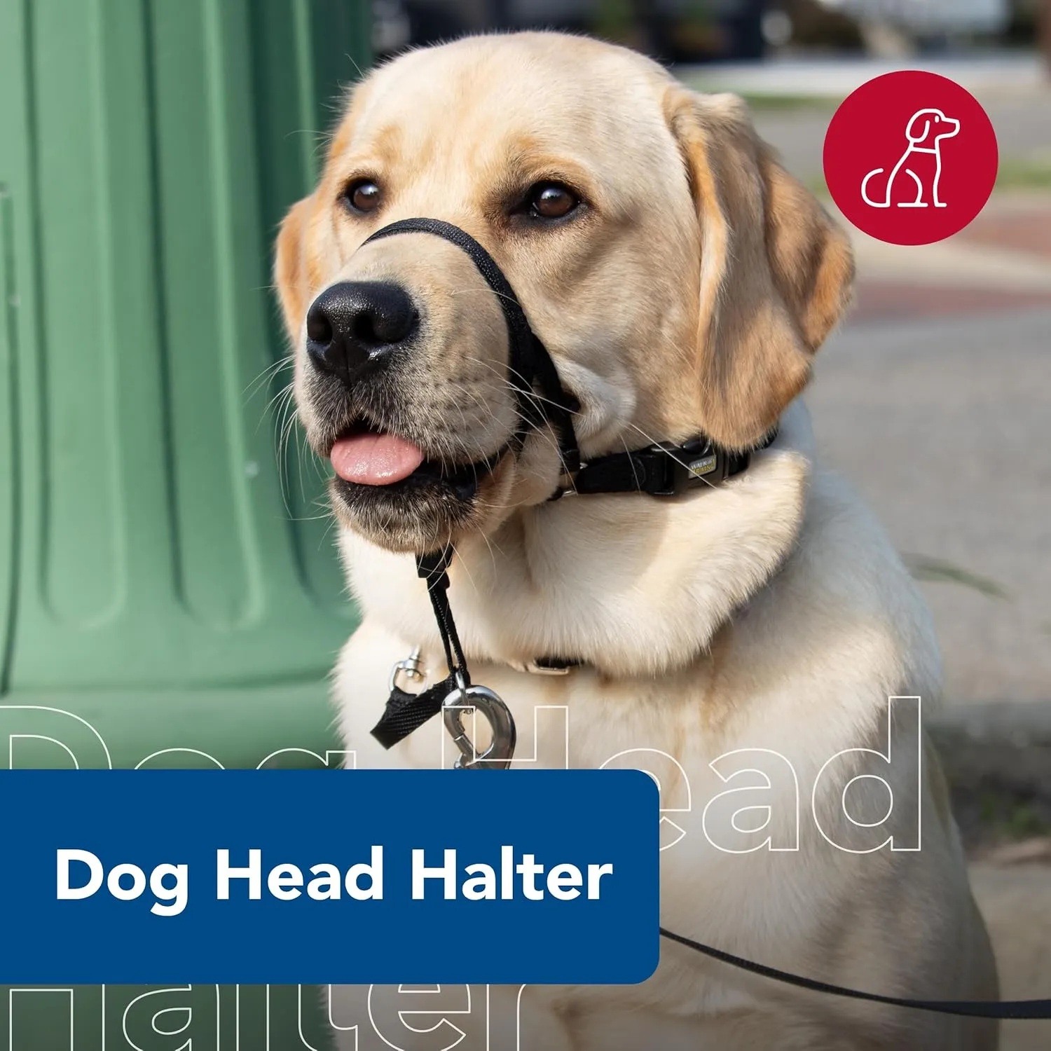 Coastal Pet Walk 'n Train Dog Head Halter - Head Colllar Dog Leader - No-Pull Pet Harness - Quick-Drying Polyester - Black - XLarge