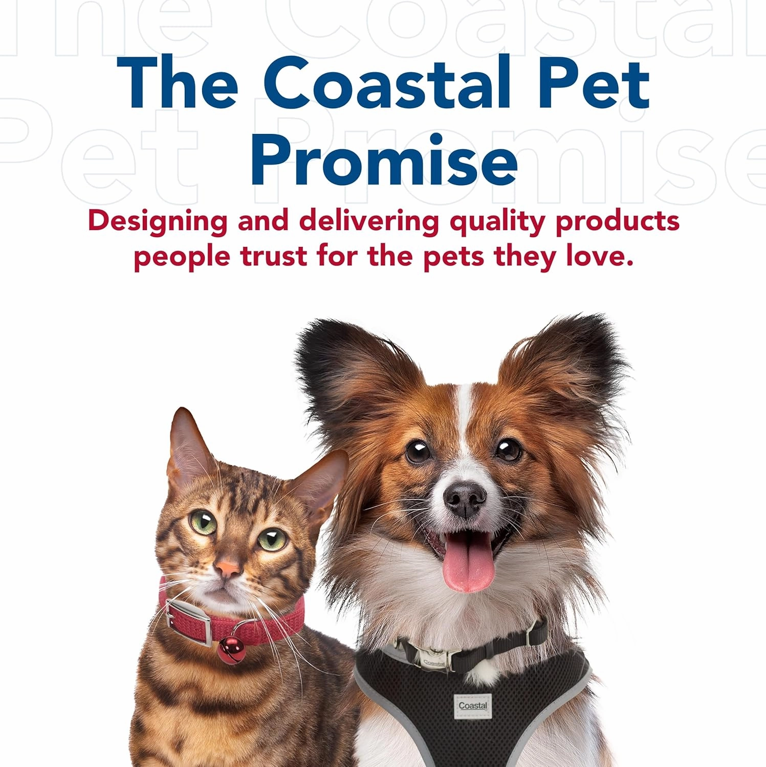 Coastal Pet Power Walker Dog Retractable Leash - Reflective Dog Leash - Stop-and-Release Control Button - Comfort Grip Handle - Red - Medium