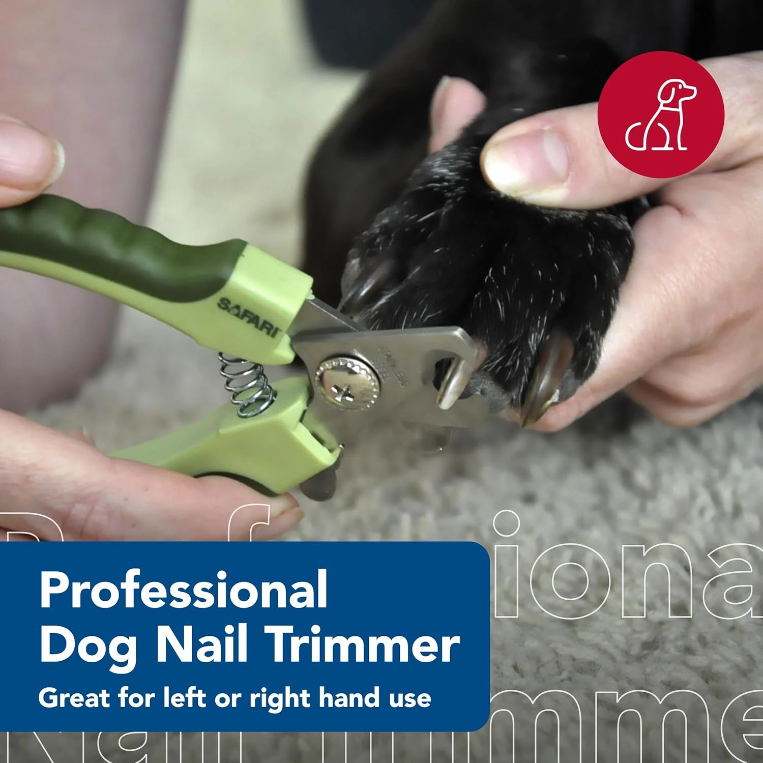 Coastal Pet Safari Professional Dog Nail Trimmer - Nail Clippers & Supplies for Grooming - Dog Claw Care for Small & Large Pets - Large, 6.6" x 2"