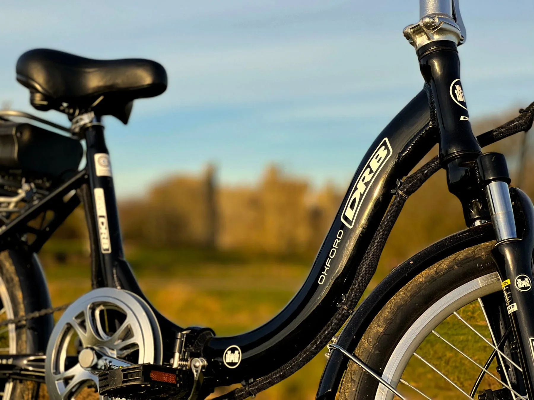 Dallingridge Oxford Folding Electric Bike