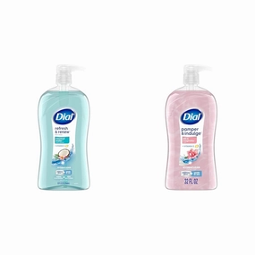 Dial Body Wash, Refresh & Renew Coconut Water, 32 fl oz and Pamper & Indulge Silk & Magnolia, 32 fl oz