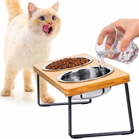 Elevated Cat Bowls, Raised Cat Bowl with 32 oz Stainless Steel Food Bowls Non-Slip Feeder for Cats and Puppy, 15° Tilted Raised Pet Dishes, Indoor Food Bowl with Bamboo Stand Anti Vomiting