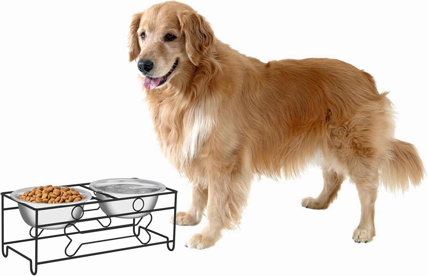 Elevated Dog and Cat Bowls - Decorative 6.5-Inch-Tall Raised Stand with 2 Stainless-Steel Food and Water Bowls - Hold 40oz Each by PETMAKER (Black)