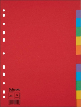 Esselte Leitz Register Karton A4 Multi-Colour 12 tabs Multicoloured
