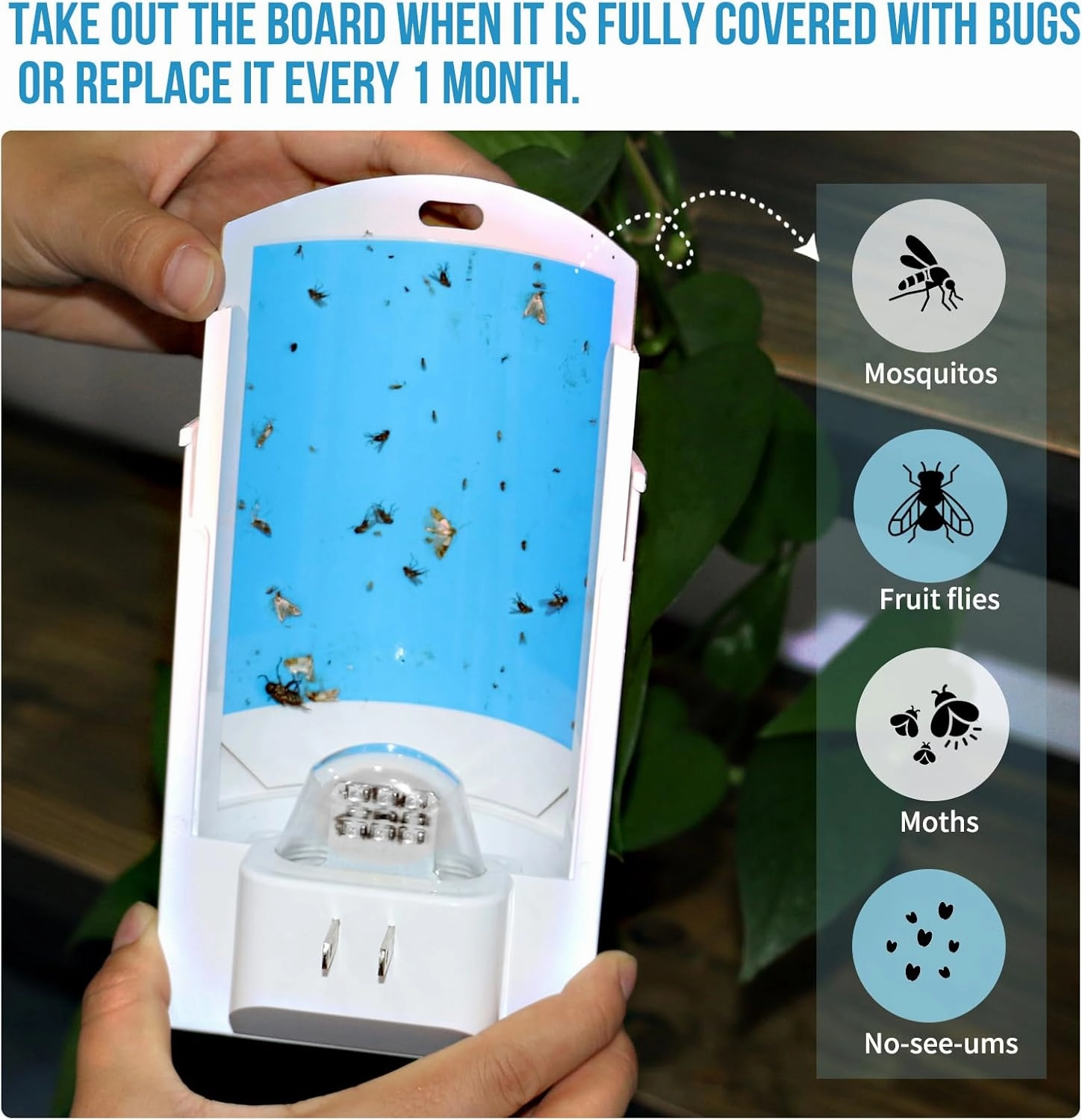 Flying Insect Trap, Indoor Plug-in Fly Trap for Home, Mosquito Killer Indoor Gnat Moth Trap Fly Catcher with Night UV Light, Mosquito Attractant Bug Zapper for Home, Office (2 x Devices & 8 x Refills)