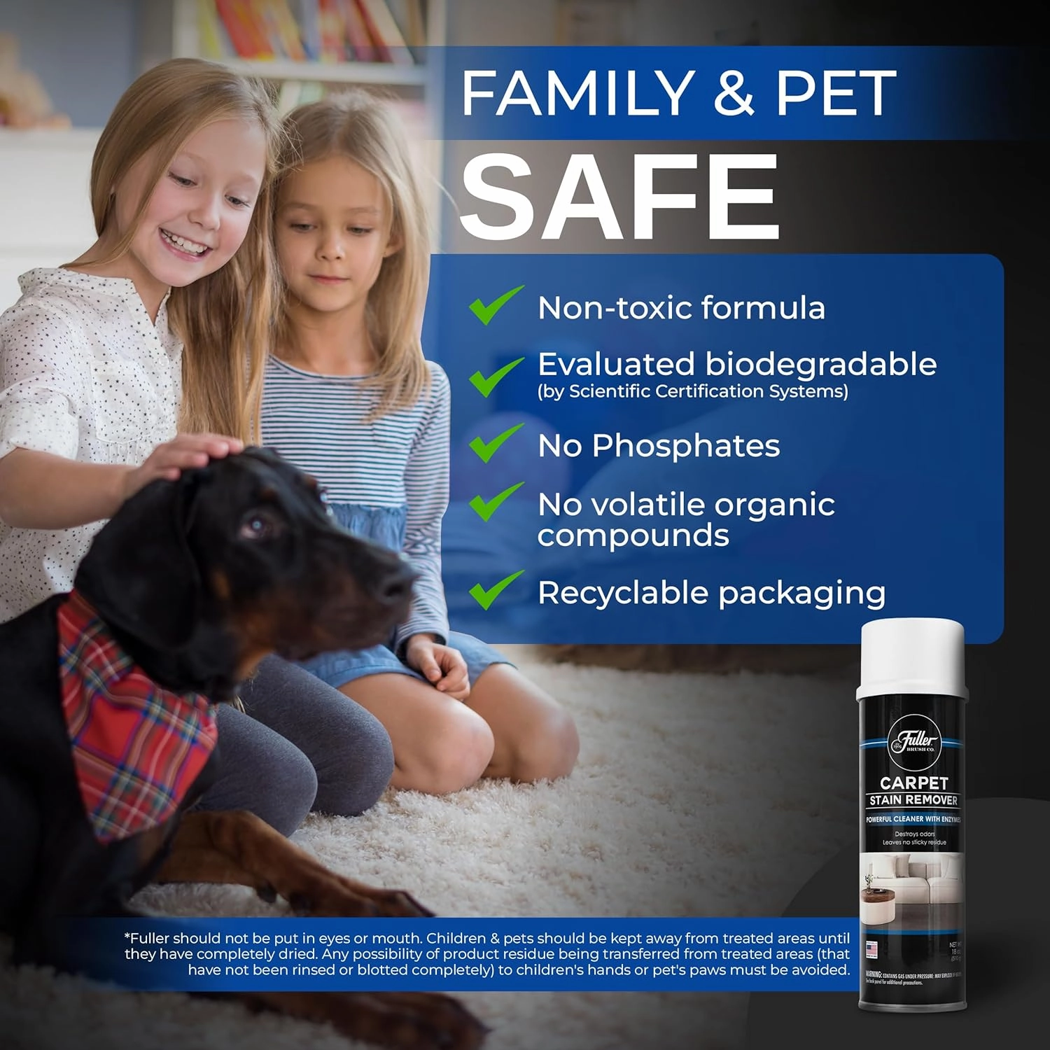 Fuller Brush Carpet Stain Remover