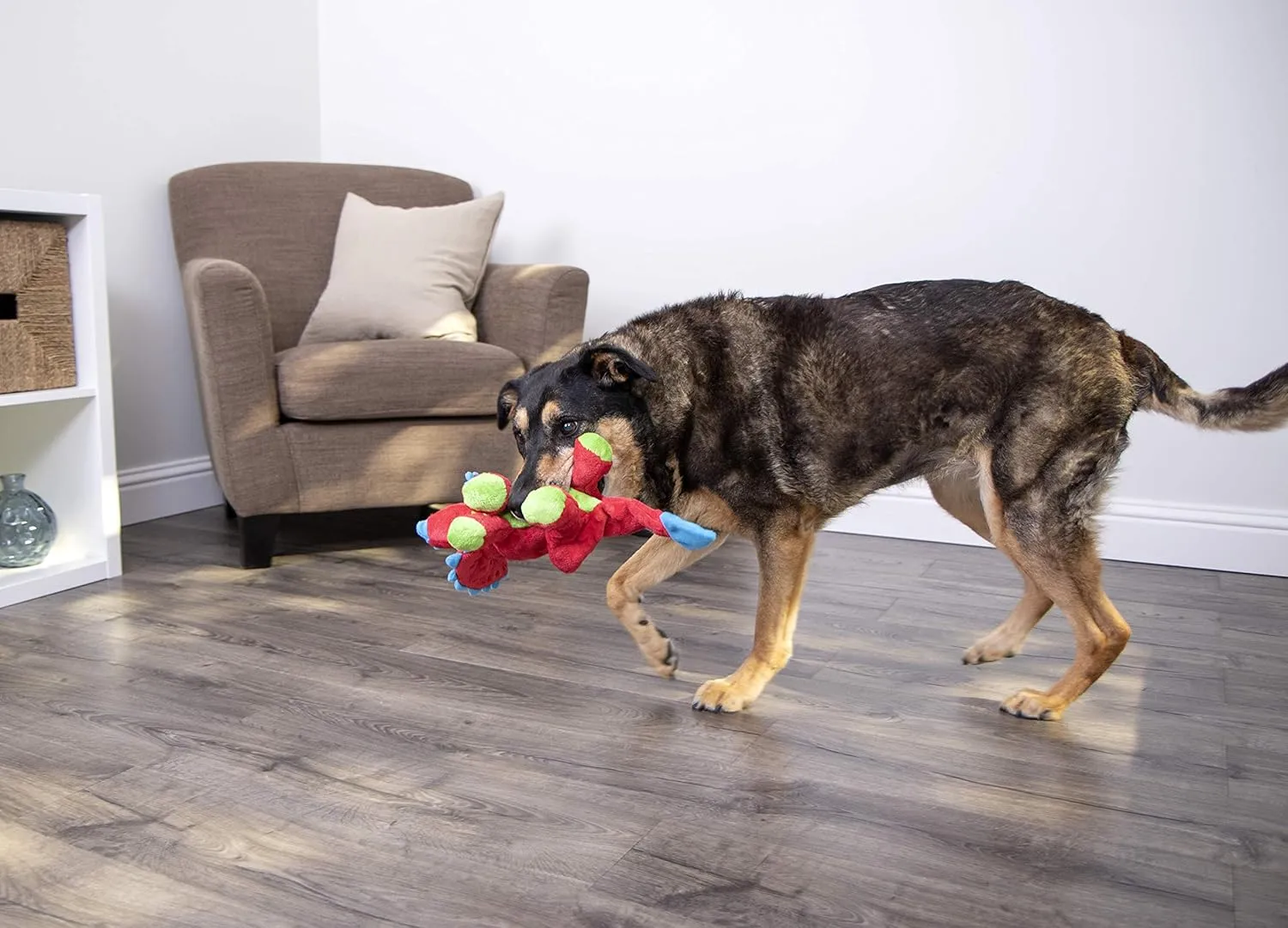 goDog Dinos Frills Squeaky Plush Dog Toy, Chew Guard Technology - Red, Large