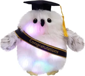 Graduation Light Up Stuffed Plush Owl Class of 2025 LED Night Light Glow Plush Stuffed Animal Graduation Cap with Tassel Reward Celebration Grad Gift(10 inch)