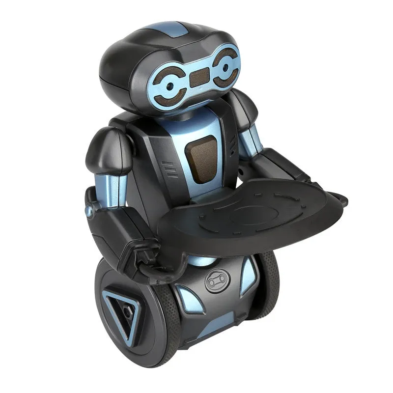 HG 2.4G Auto Balance RC Stunt Robot