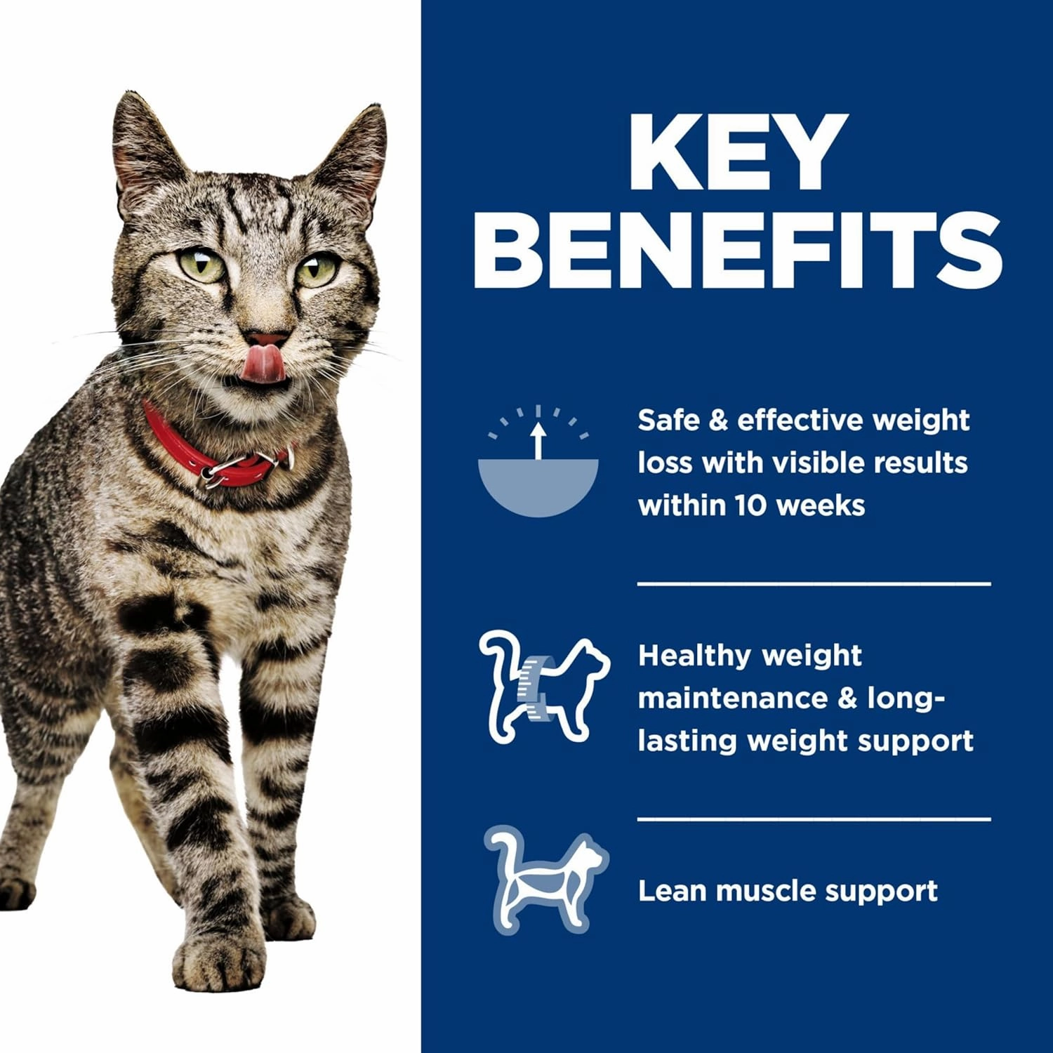 Hill's Science Diet Perfect Weight, Adult 1-6, Weight Management Support, Wet Cat Food, Variety Pack: Liver & Chicken Minced; Chicken Stew, 2.9 oz. Cans, Case of 12