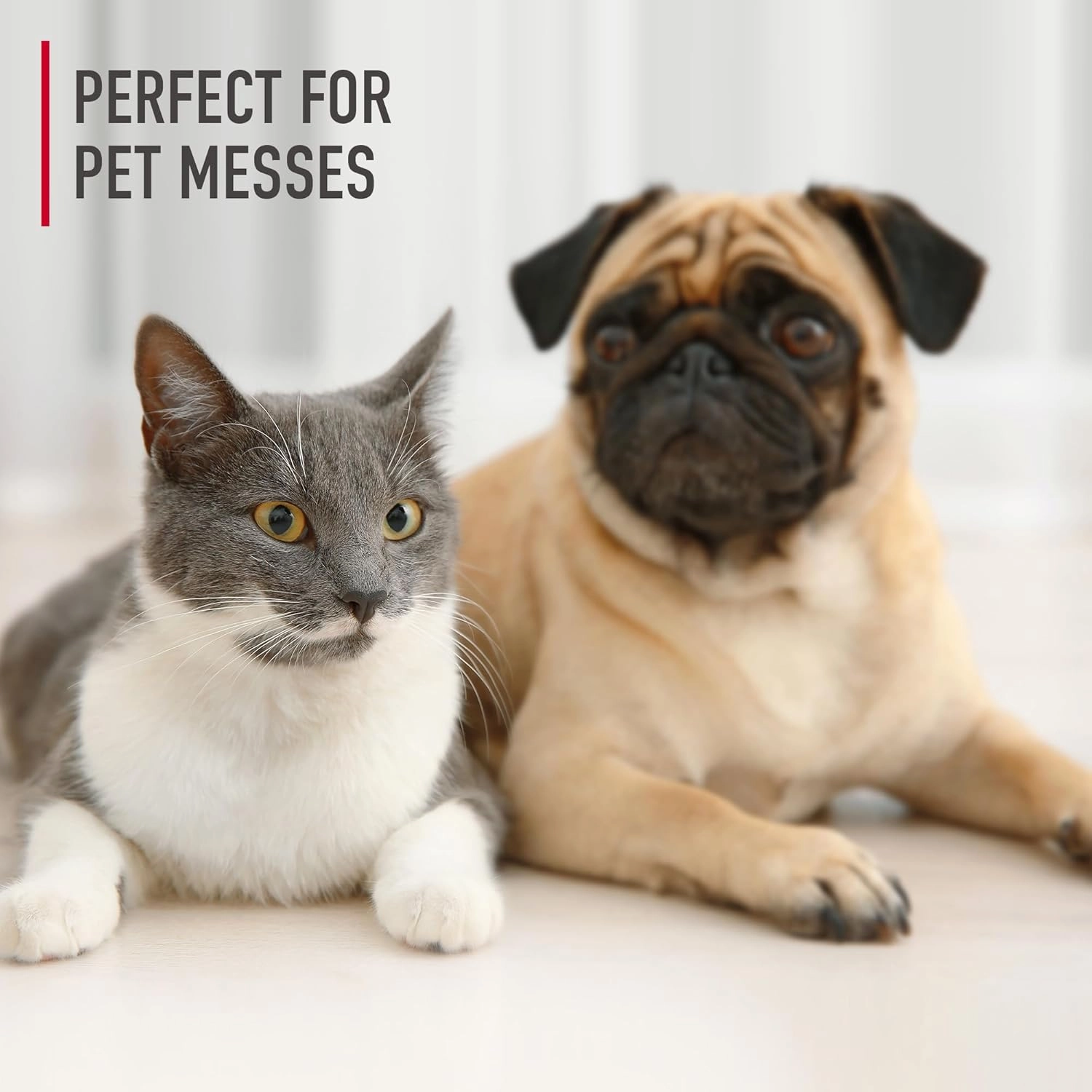 Hoover Pet Hard Floor Cleaner Solution, 32 oz., Jasmine Breeze Scent, Concentrated Pet Cleaning Formula, For Use on Sealed Vinyl, Sealed Hardwood, Tile and More, Pair with Hoover Hard Floor Machines