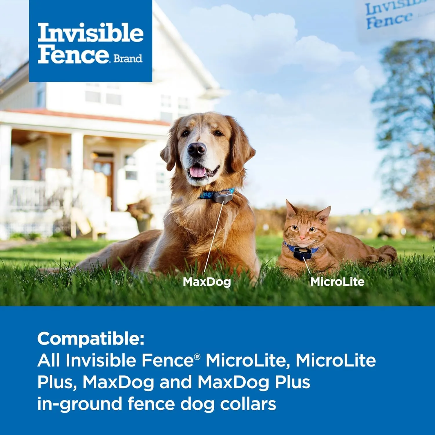 Invisible Fence Power Cap Battery; Battery for (2-Pack) Electric Collar Batteries for Dog Collars Original Brand Product, Dog Collar