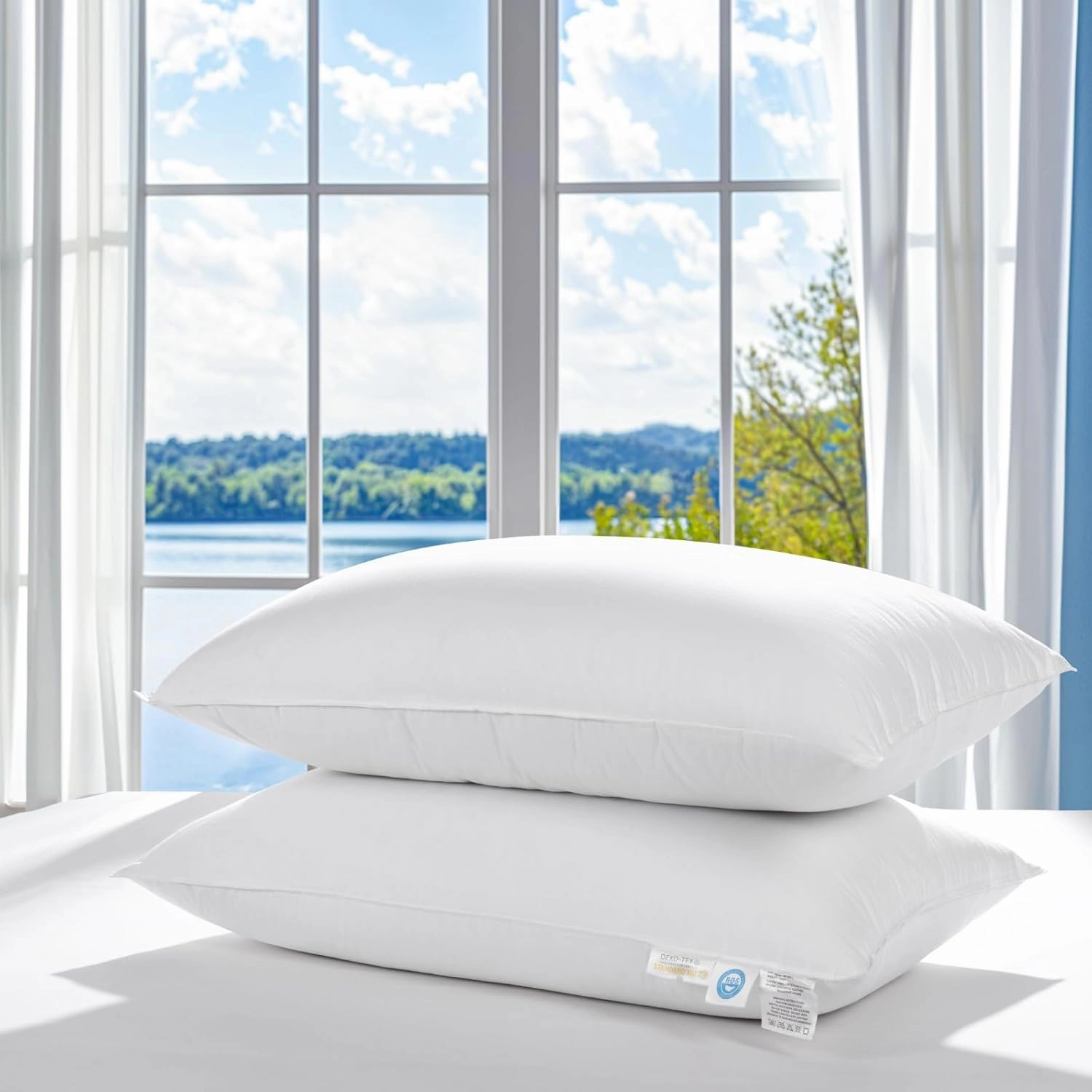LBRO2M Canada Goose Down Pillow 1050 Fill Power 80% Goose Down 20% Goose Feather 100% Cotton Pillowcase Queen Down Pillows Ideal for Plush Comfort and Support (20"X36", Set of 2)