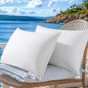 LBRO2M Canada Goose Down Pillow 1050 Fill Power 80% Goose Down 20% Goose Feather 100% Cotton Pillowcase Queen Down Pillows Ideal for Plush Comfort and Support (20"X36", Set of 2)