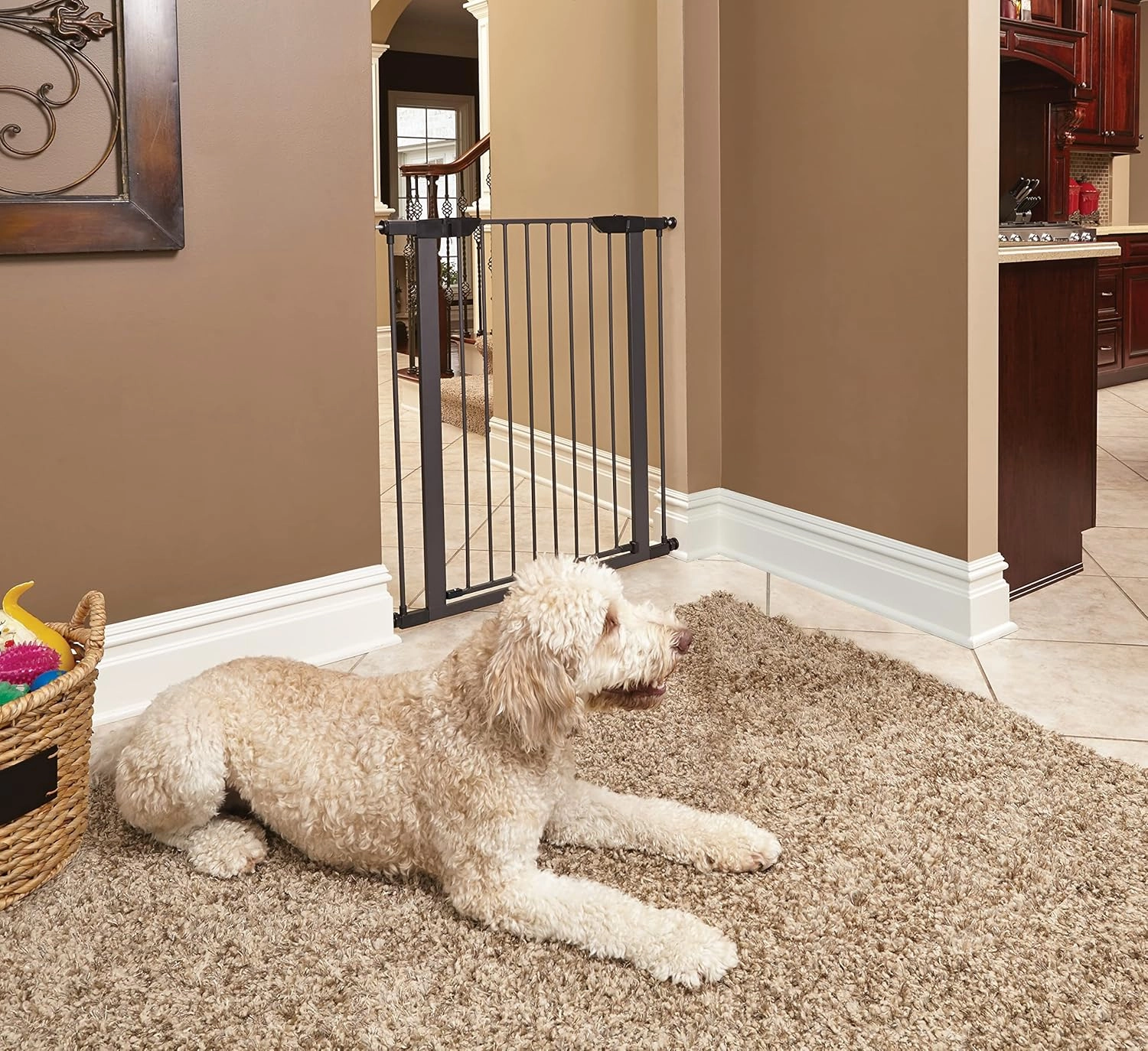 MidWest Homes for Pets 39 Inches Tall Walk-Through Steel Pet Gate, Pressure Mounted Dog Gate Measures 29-38 Inches Wide & Includes Two 3-Inch-Wide Extensions, Graphite