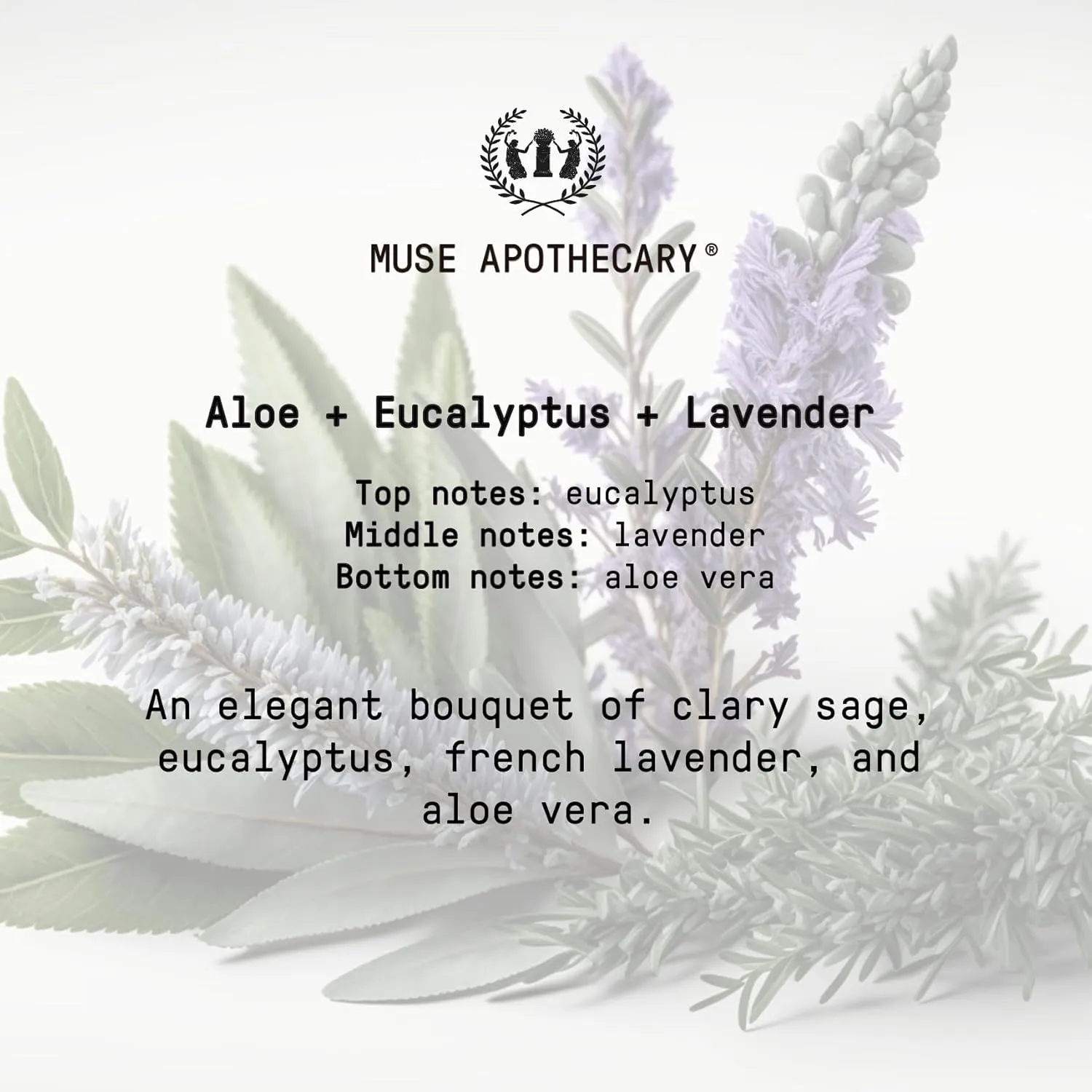 Muse Apothecary Flush Ritual - Aromatic & Refreshing Toilet Spray, Use Before You Go, 8 oz, Infused with Natural Essential Oils - Aloe   Eucalyptus   Lavender, Pack of 3