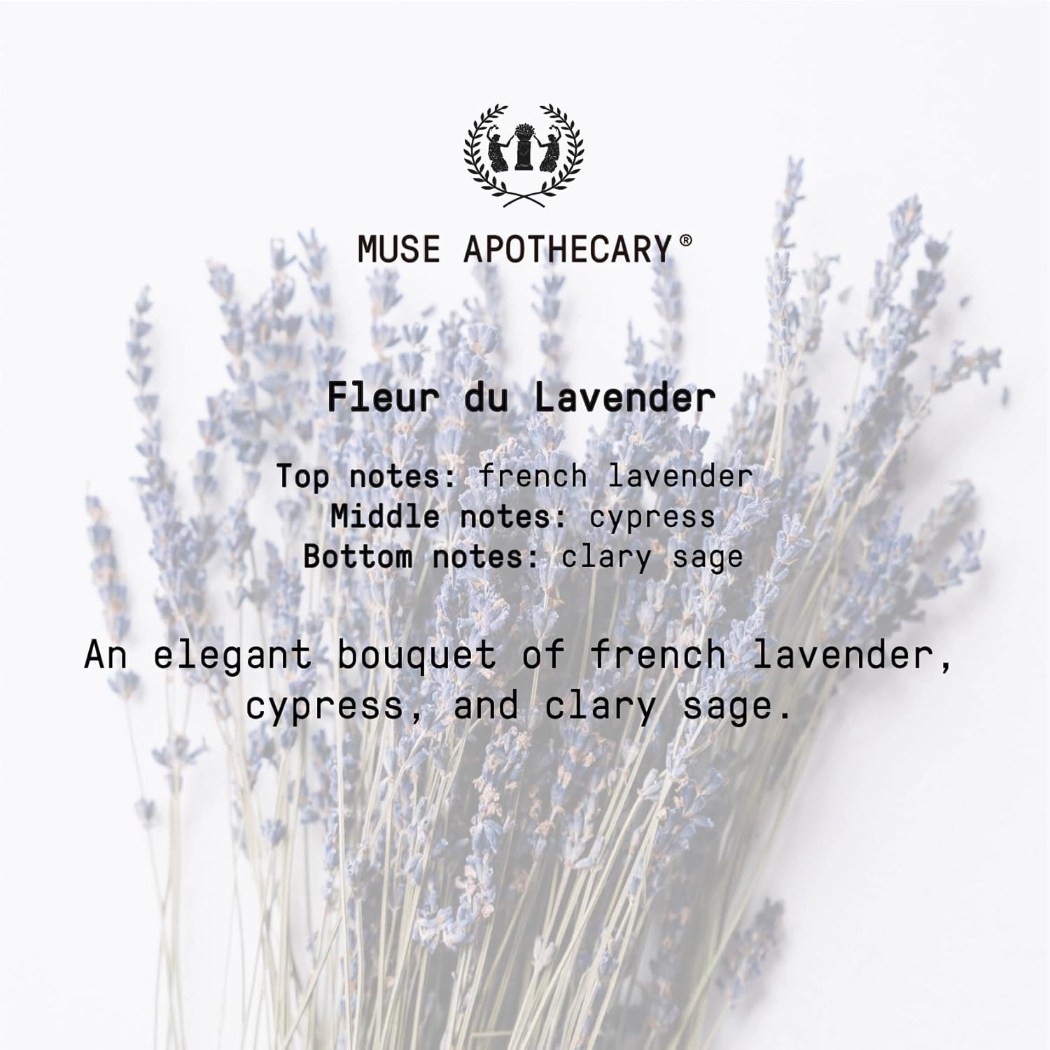 Muse Apothecary Body Ritual Hydrating - Fleur du Lavender Body Wash for Women & Men - Essential Oil Infused Aromatherapy Body Wash - 32 Ounce, 2 Pack