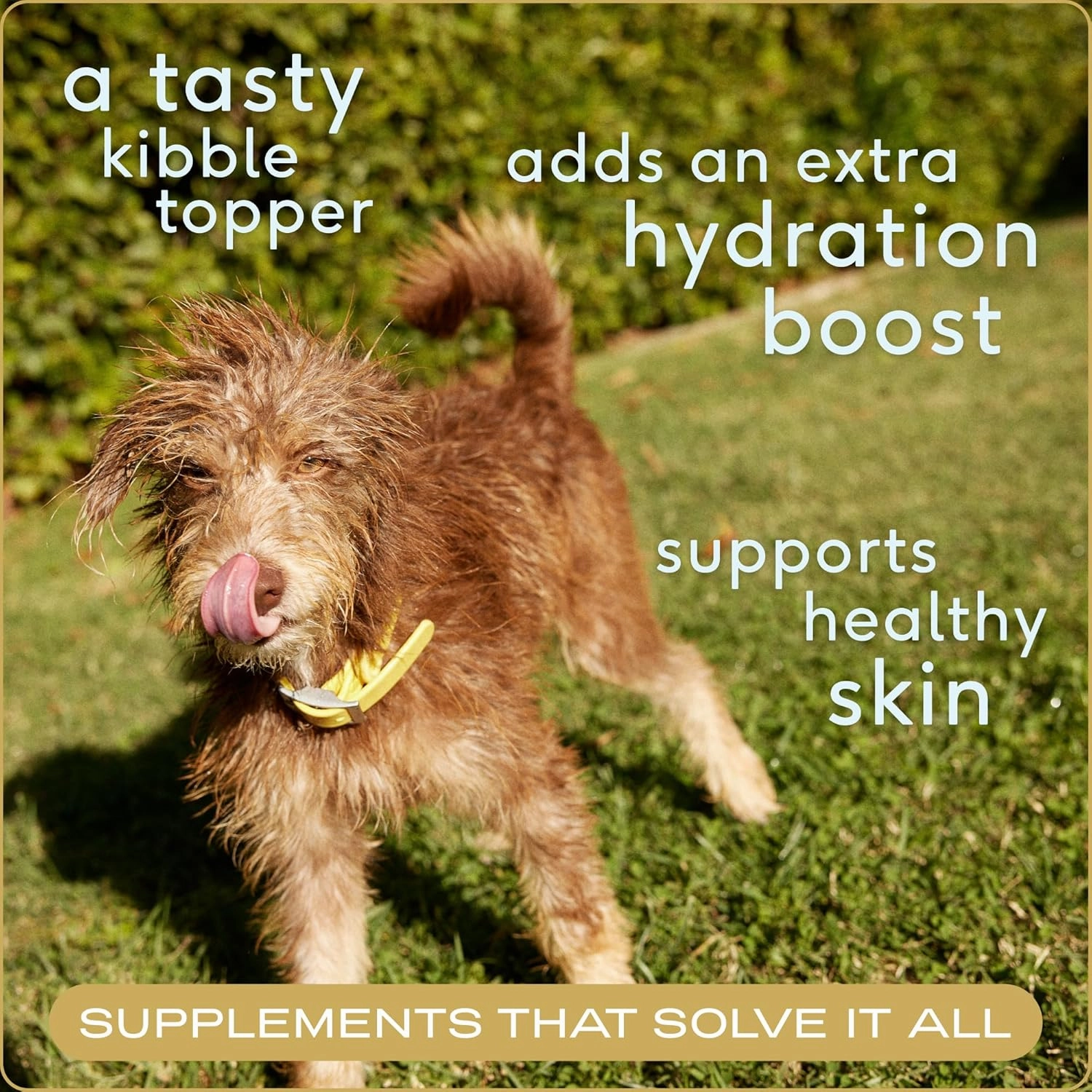 Native Pet Bone Broth for Dogs and Cats - Made with Real Beef Bone Broth, Dog Food Toppers for Picky Eaters- Provides Extra Hydration & Nutrition for Joint Strength, Immunity & Heart Health-192 Scoops