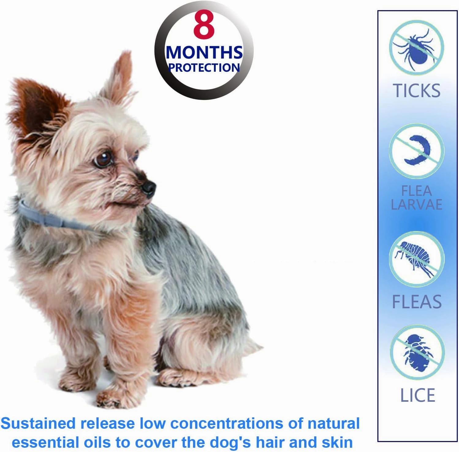 Natural Ingredients Flea Collar for Small Dogs,Safe and Effective Flea and Tick Collar, Waterproof,8 Months Protection Each, Free Comb and Tick Scoop,13.8 Inches,2-Pack