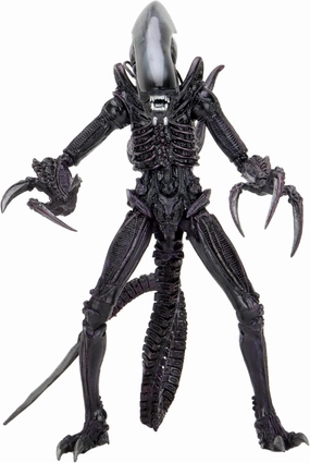 NECA Collectible Alien Vs Predator Game Movie Mashup Ultimate 7-Inch Scale Action Figure - Razor Claws Alien