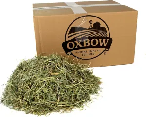 Oxbow Animal Health Orchard Grass, Guinea Pig Hay, Rabbit Hay, Small Pet Bunny Supplies, All Natural Grass for Guinea Pig, Bunny, Chinchilla & Hamster, Oxbow Rabbit Supplies, Grown in USA, 25 lb.