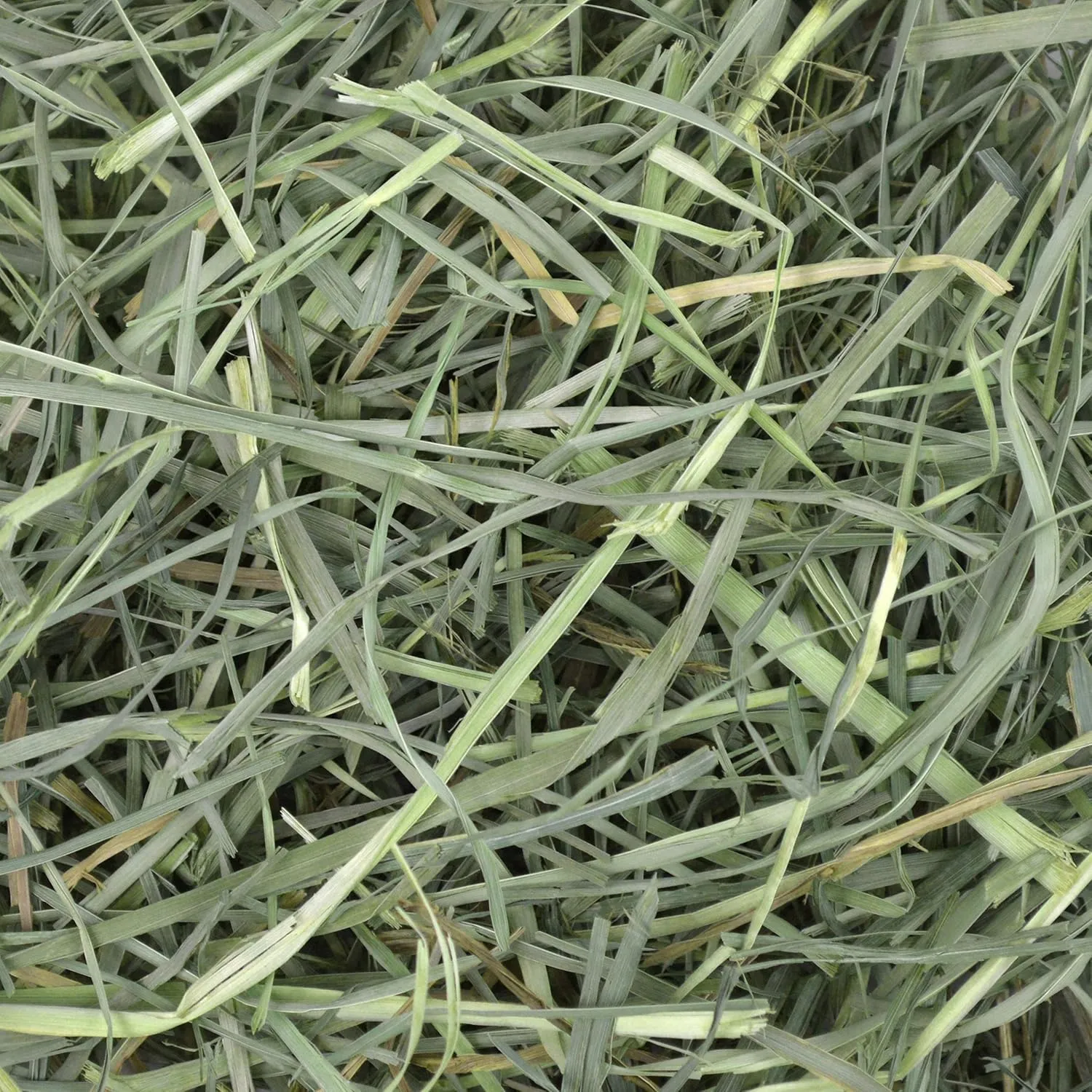 Oxbow Animal Health Orchard Grass, Guinea Pig Hay, Rabbit Hay, Small Pet Bunny Supplies, All Natural Grass for Guinea Pig, Bunny, Chinchilla & Hamster, Oxbow Rabbit Supplies, Grown in USA, 25 lb.
